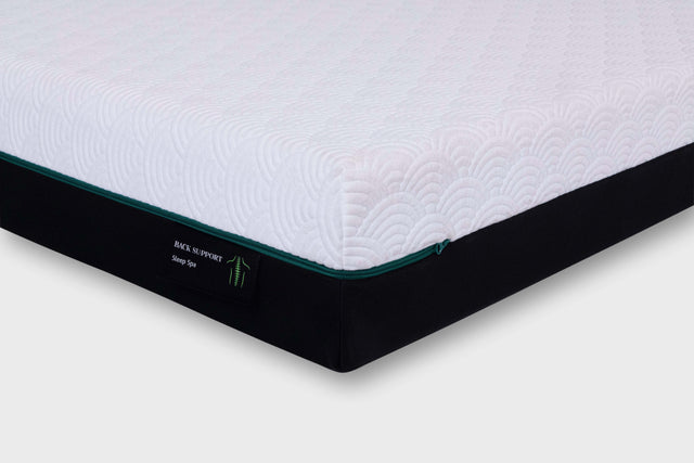 Back Support Mattresses
